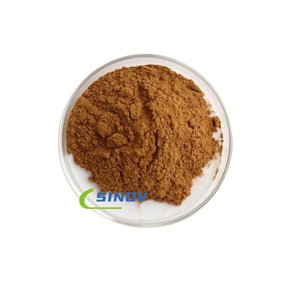 สารสกัดโรสแมรี่