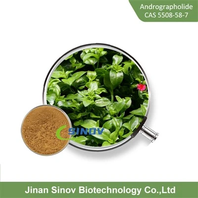 ผง Andrographolide